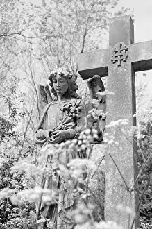 Immortality: Highgate Cemetery