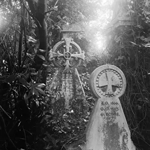 Terminals: Highgate Cemetery
