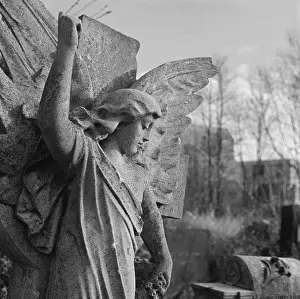 Graveyards: Highgate Cemetery