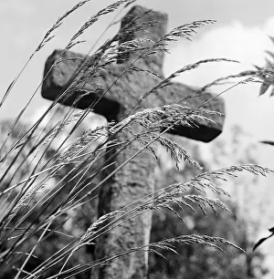 Graveyards: Highgate Cemetery