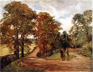 Millfield: HIGHGATE/MILLFIELD LANE