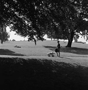 Grassed: Highgate Ponds