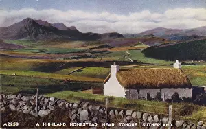 Croft: Highland Croft