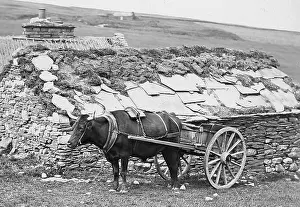 Crofter: A Highland Croft Victorian period