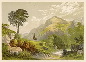 C1850: HIGHLAND MOORS WITH STAG
