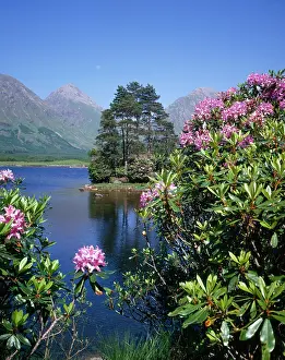 Etive: Highland scene ' Lochan in Glen Etive