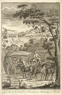 Thicket: HIGHWAYMAN HIND