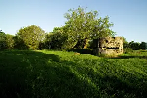 Recovered: Hill 60