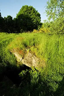 Recovered: Hill 60
