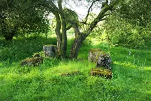 Recovered: Hill 60