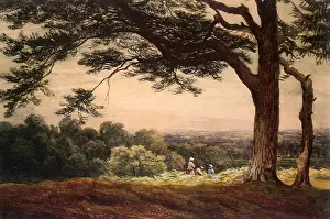 Bartholomew: Hill Near Esher