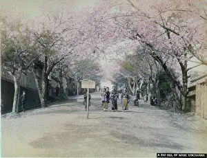 Torii: Hill of Noge, Yokohama