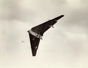 J8067: Hill Pterodactyl I J8067