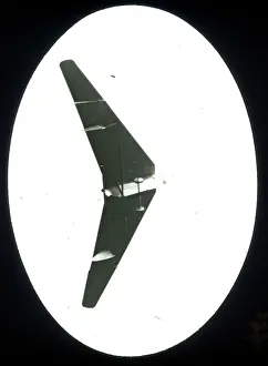J8067: Hill Pterodactyl I J8067