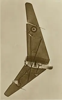 J8067: Hill Pterodactyl I J8067