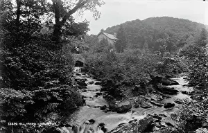 Flowing: Hillsford Stream