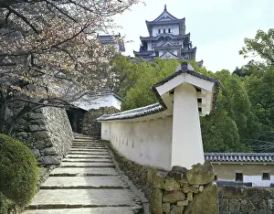 Hyogo: Himeji Castle