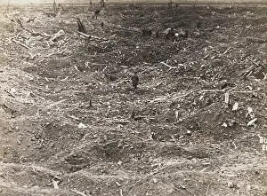 Bullecourt: Hindenburg Line WWI