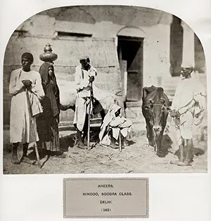 Hindoo: Hindoo, Soodra Class, Delhi, Aheeer, Ahir