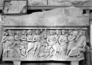 Hippolyte: Hippolyte