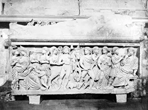 Hippolyte: Hippolyte