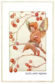 Sprites: Hips & Haws