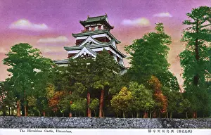 Carp: Hiroshima Castle, Hiroshima, Japan