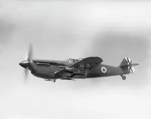 Forcemilitary: Hispano HA-1112 M1L Buchon
