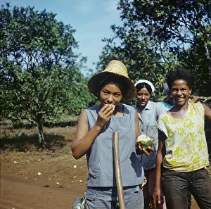 Wirtschaft: Historical Cuba - Girls camp