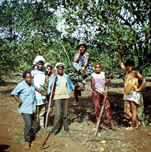 Wirtschaft: Historical Cuba - Girls camp