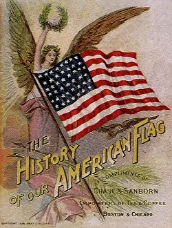 Bureaucracy: History of the American Flag