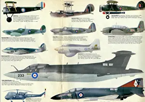 Walrus: History of Modern Aircraft