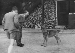Blondi: Hitler & His dog