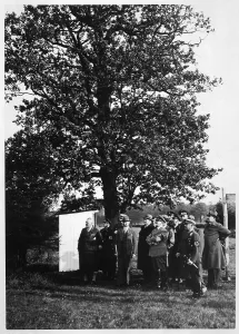 Lewald: HITLER/GRUNEWALD STADIUM
