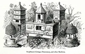 Hives: Hives at Great Exhibition 1851