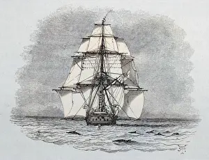 Porpoises: HMS Beagle - Darwin's Ship