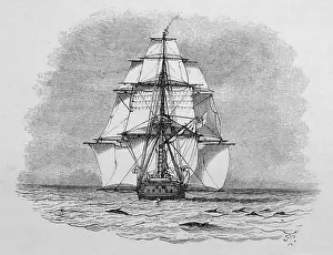 Porpoises: HMS Beagle - Darwin's Ship