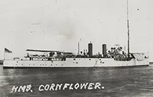 Minesweeping: HMS Cornflower, British minesweeping sloop