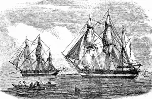 Survived: HMS Erebus and HMS Terror, 1845