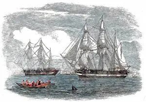 Mcclintock: HMS Erebus and HMS Terror