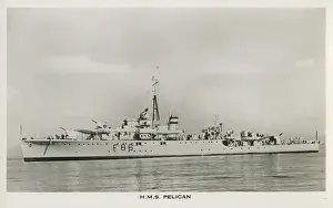 Flotilla: H.M.S. Pelican (F86) - Egret-class sloop