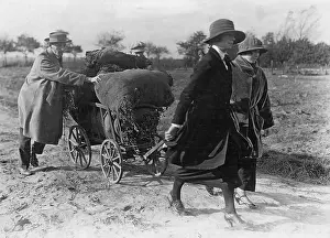 Handcart: Hoarders during the inflation, 1923