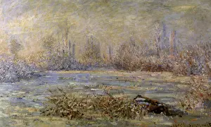 Frosty: Hoarfrost, by Monet