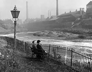 Banzie: Hobson'S Choice (1954)
