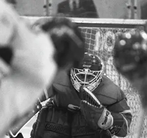 Goalie: Hockey tournament