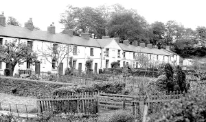 Clough: Hockley, Worth Clough c1960