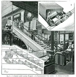 Escalator: Hocquart's Escalator