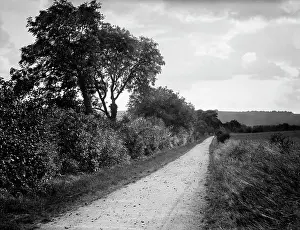 Ilsley: Hodcot Lane, West Ilsley