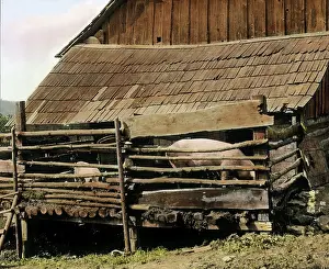 Roofing: Hog house