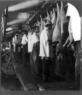 Scraping: Hog scraping rail. Meatpacking plant worker's ?